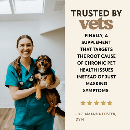 Add Years to Your Dog's Life with PawThrive's Multivitamin Bites