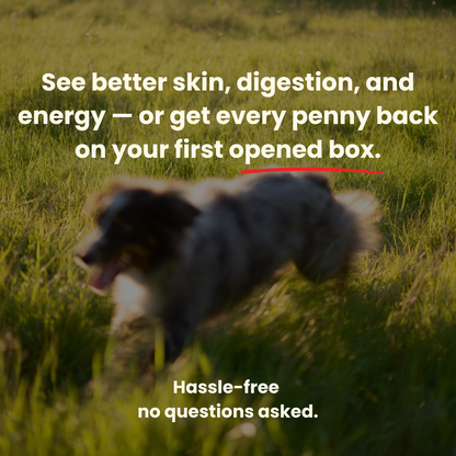Add Years to Your Dog's Life with PawThrive's Multivitamin Bites