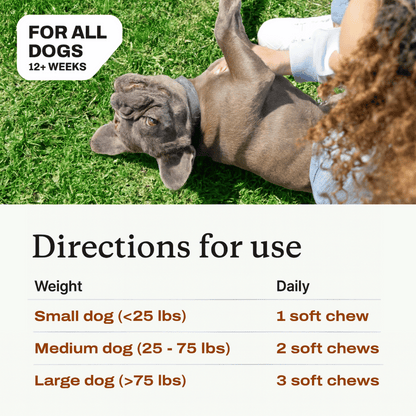 Add Years to Your Dog's Life with PawThrive's Multivitamin Bites