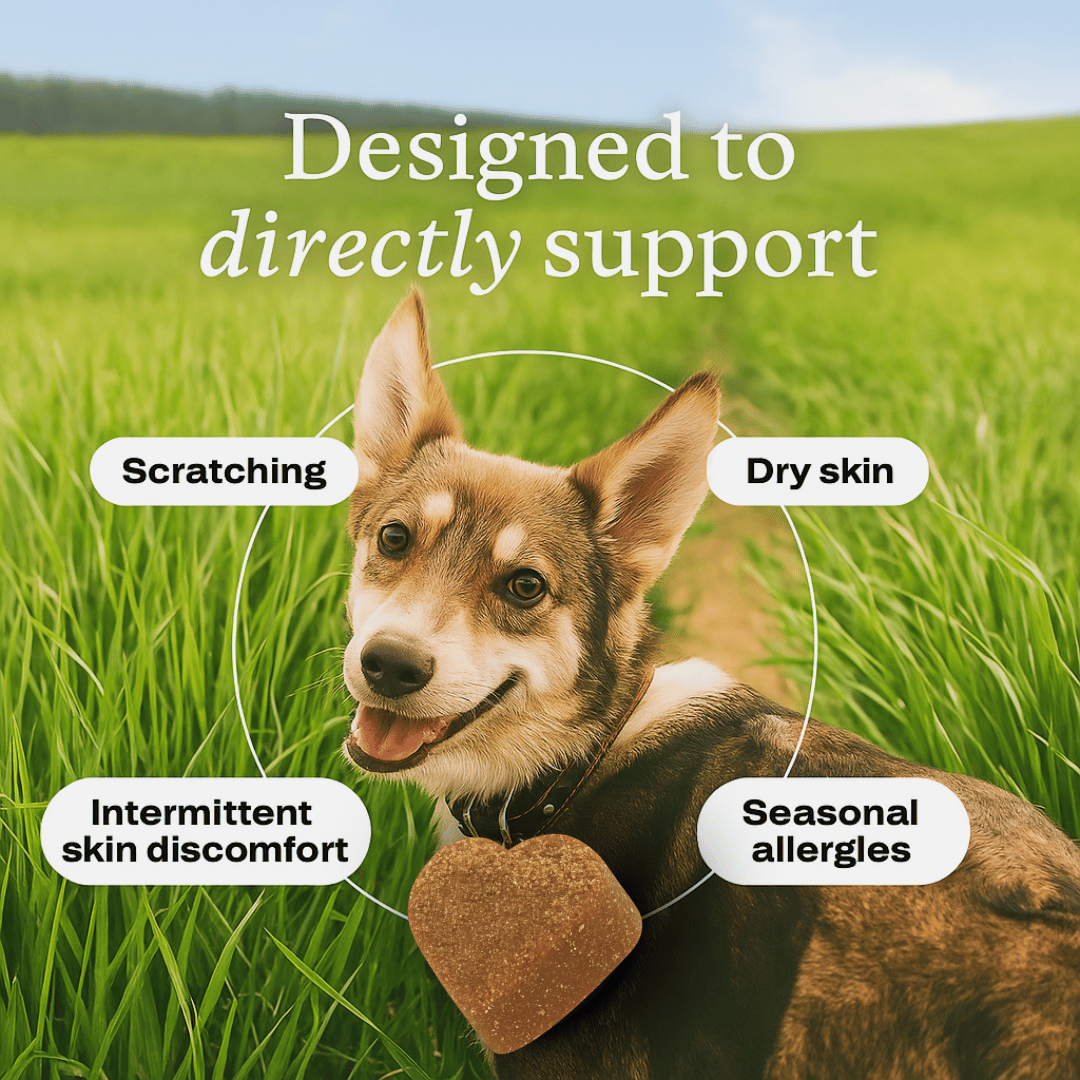 Add Years to Your Dog's Life with PawThrive's Multivitamin Bites